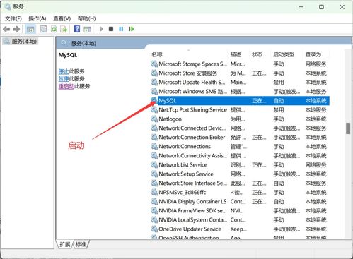 MySQL初识 从零开始的基础操作指南